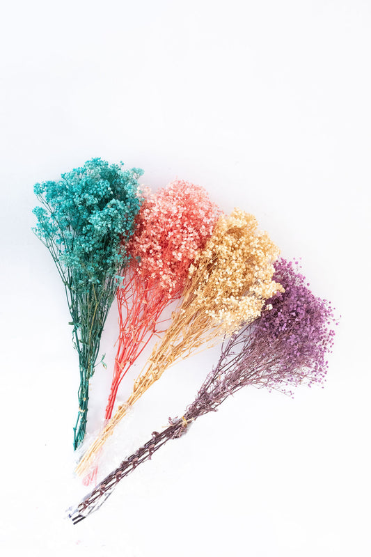 Baby Breath - Assorted Colours Available