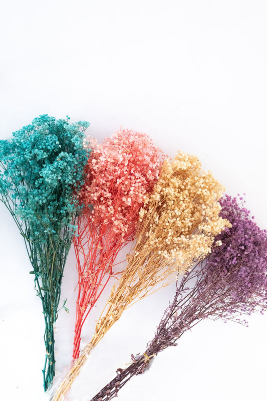 Baby Breath (Assorted Colours Available)