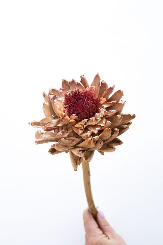 Artichoke Flower - Medium (Natural)