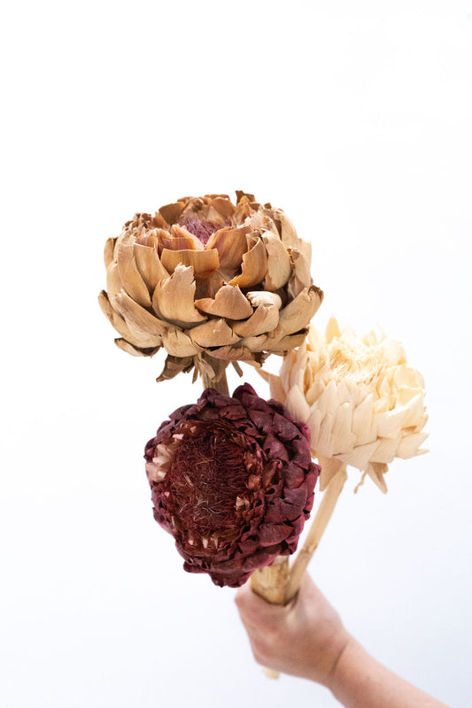 Artichoke Flower - Large (Assorted Colours)